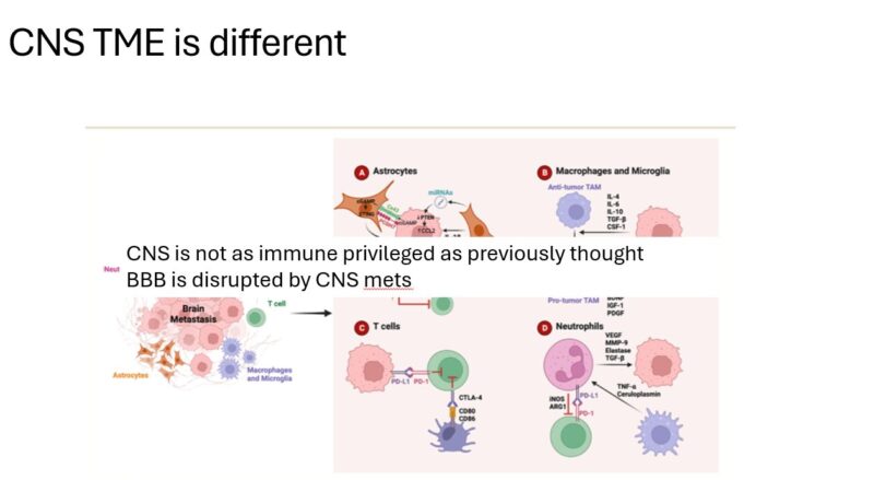 Megan Sanders: Immunotherapy and Brain Metastases in NSCLC - Key Insights from TOGA Symposium