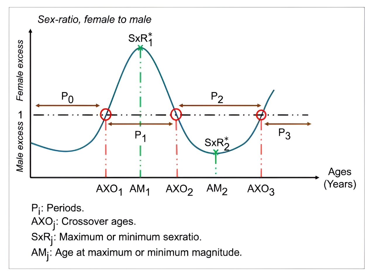 Understanding Age and Sex Differentials in Cancer Incidence and Mortality - IARC