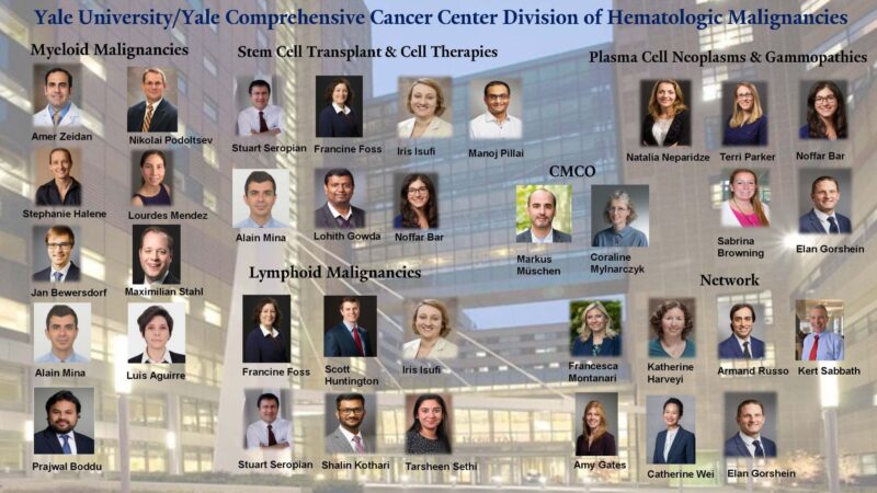 Amer Zeidan: Yale Opens New Roles in Hematologic Malignancies 2 Amer Zeidan: Yale Opens New Roles in Hematologic Malignancies