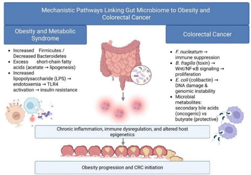 Immuno-Oncology