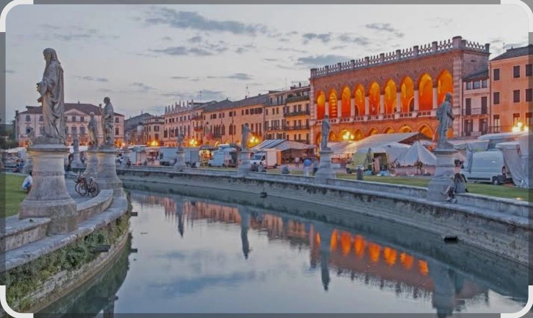 Riham Hany Medhat AbdelAziz