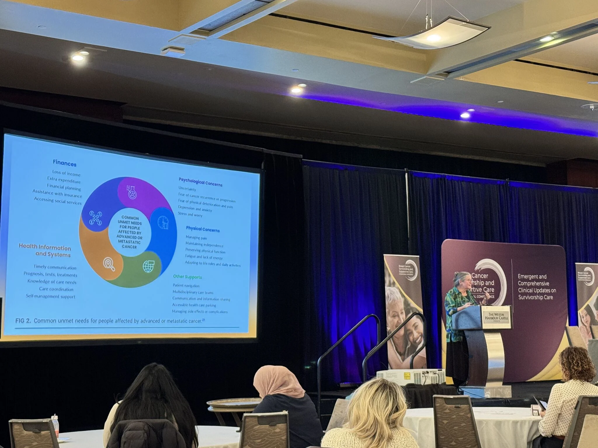 Raymond Chan: MASCC-ASCO Standards and Practice Recommendations 2 Raymond Chan: MASCC-ASCO Standards and Practice Recommendations