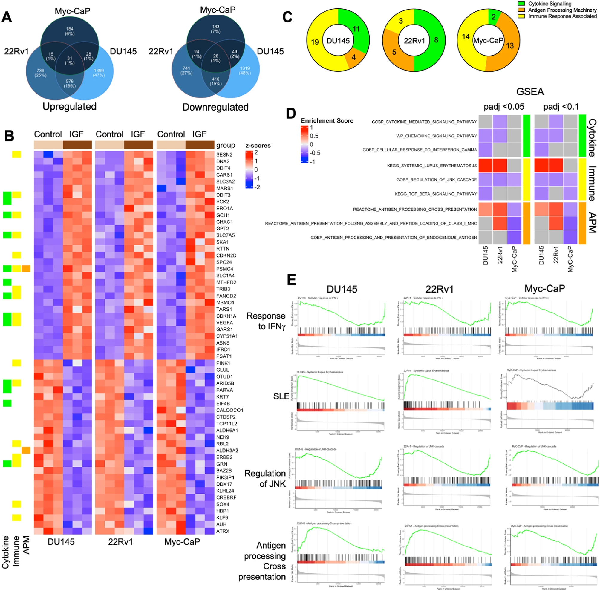 IGF-1 Regulates Cancer Cell Immune Evasion in Prostate Cancer 2 IGF-1