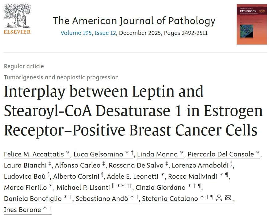 Sami Mansfield: Leptin, Metabolism, and Lifestyle Impact on ER-Positive Breast Cancer