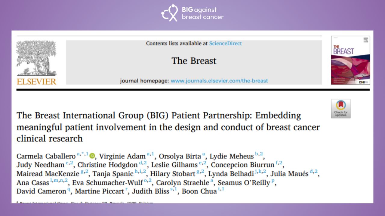 Embedding Meaningful Patient Involvement in Breast Cancer Research - BIG Against Breast Cancer 2 BIG Against Breast Cancer