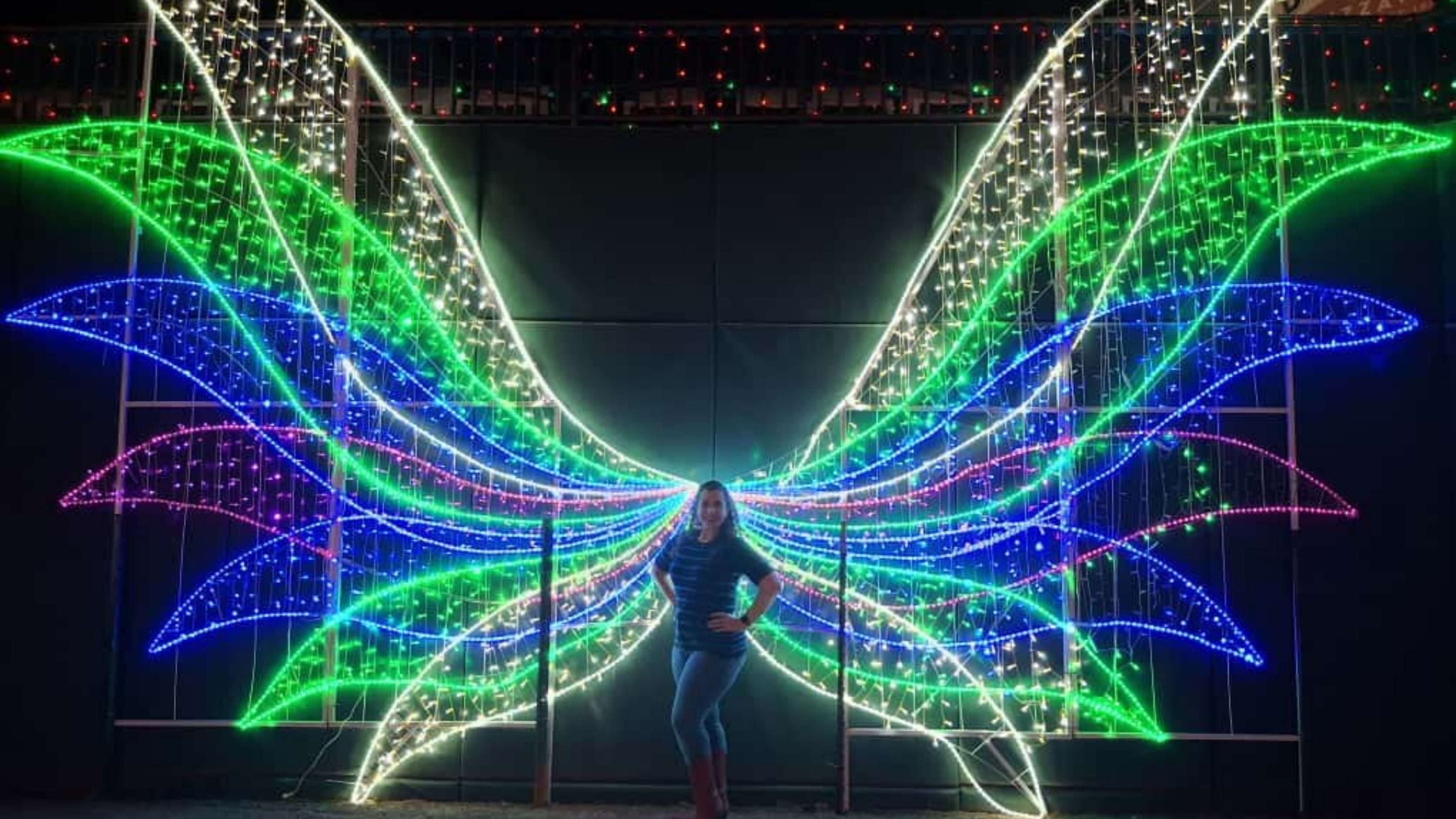 Allison Rosen: Include Lived Experience Experts in Educational Events to Enhance Impact