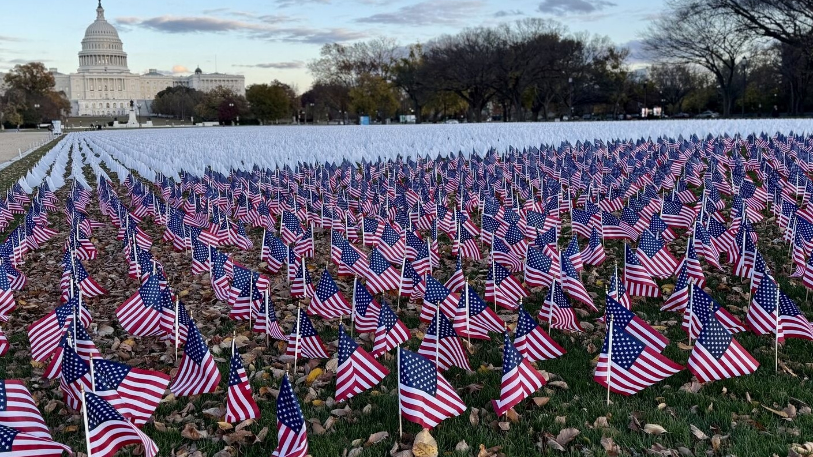 Frank Sierawski: Honoring Lives Lost to Lung Cancer with LUNGevity Foundation 2 Frank Sierawski: Honoring Lives Lost to Lung Cancer with LUNGevity Foundation