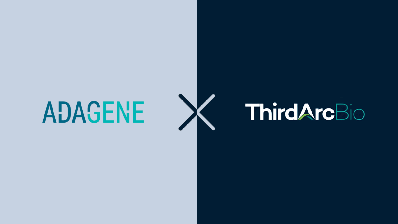 Third Arc Bio and Adagene Partner to Address One of the Biggest Challenges in Solid Tumor Immunotherapy