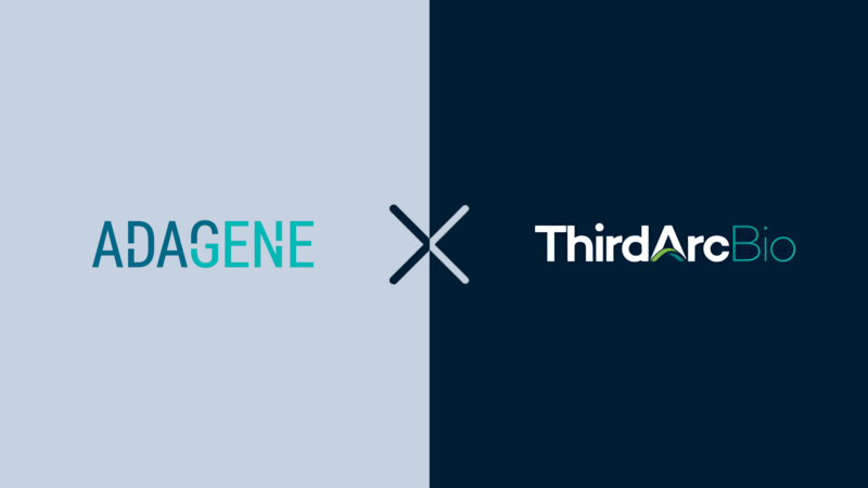 Third Arc Bio and Adagene Partner to Address One of the Biggest Challenges in Solid Tumor Immunotherapy