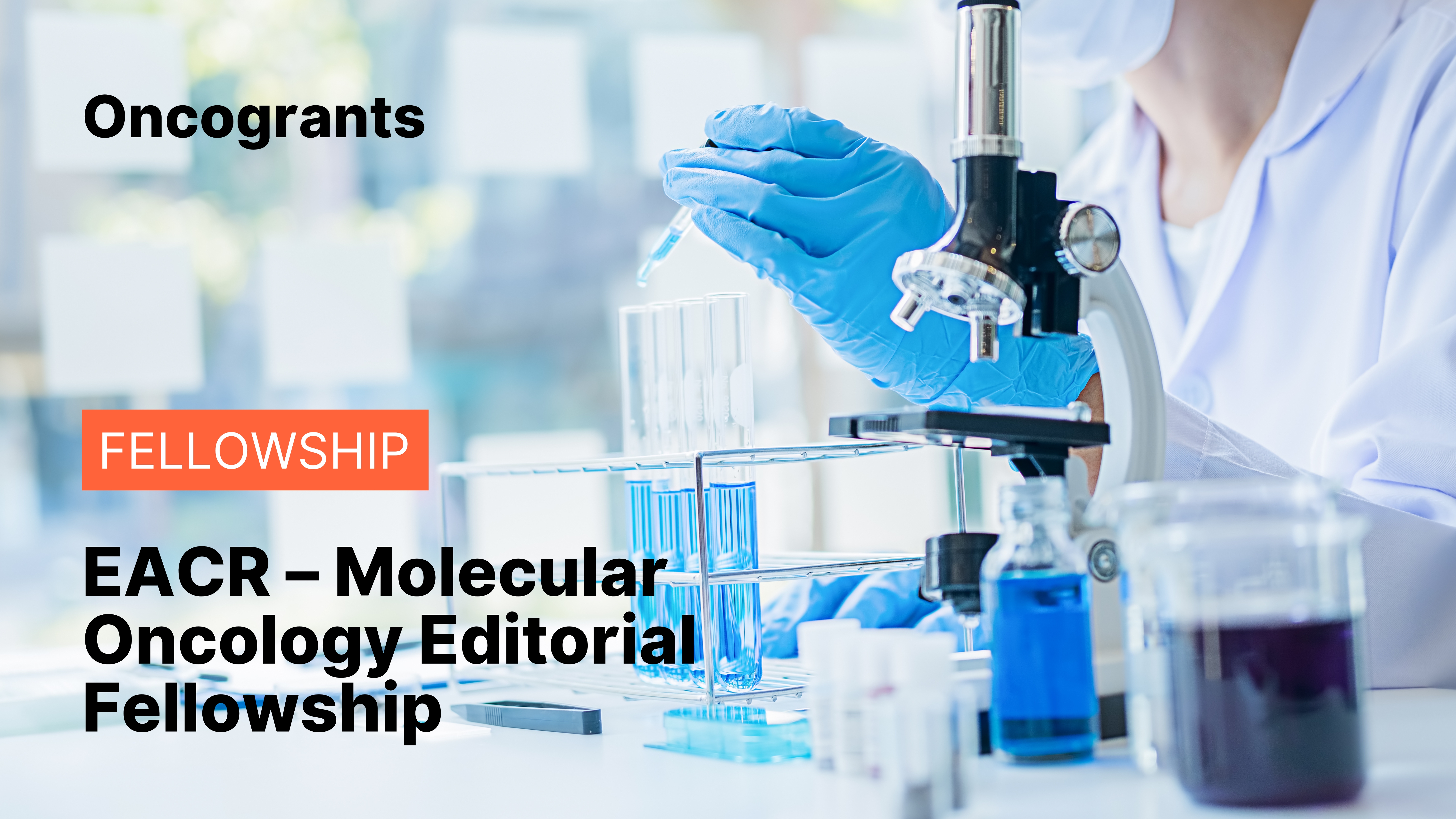EACR – Molecular Oncology Editorial Fellowship
