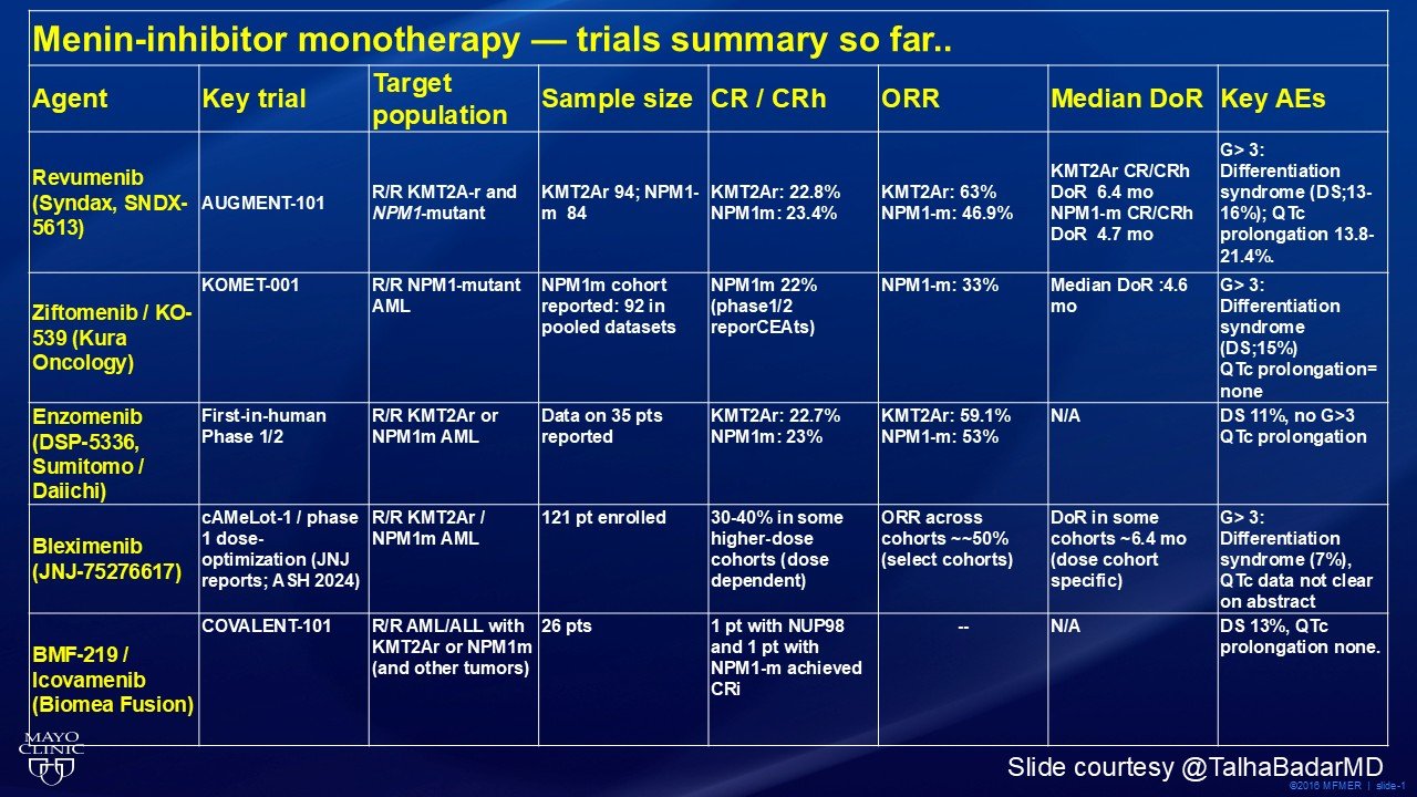 Talha Badar: Menin Inhibitor Monotherapy Trials in Relapse Refractory Leukemia