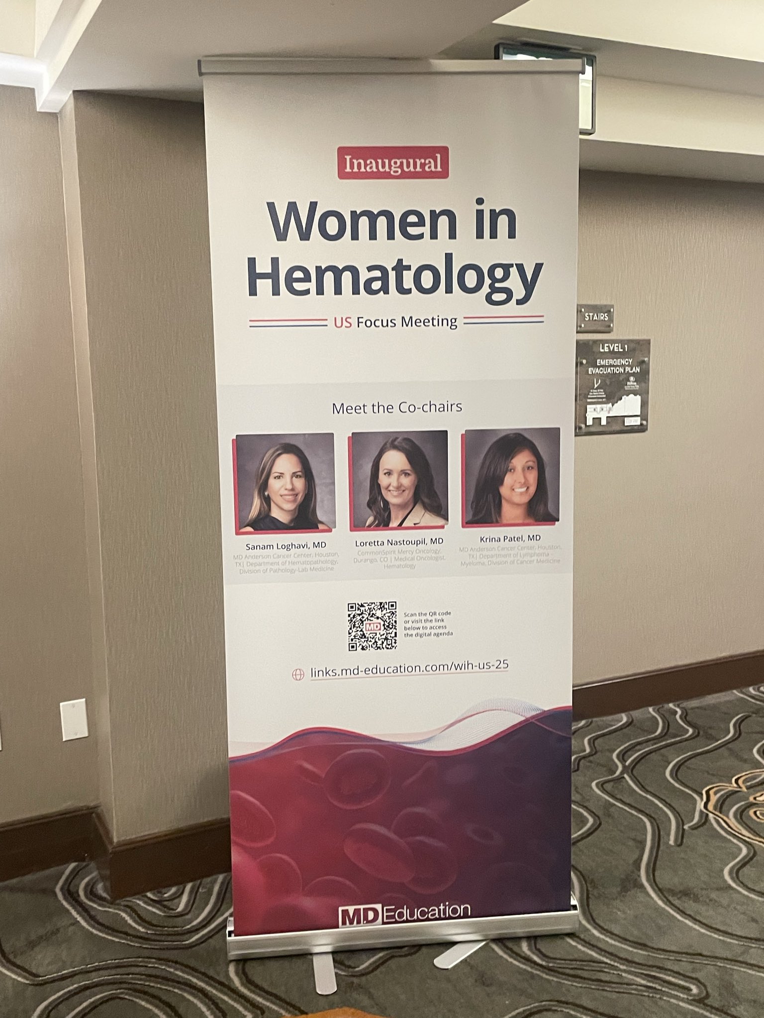 Sanam Loghavi: Celebrating Excellence at the 2025 Women in Hematology Meeting 5 Sanam Loghavi: Celebrating Excellence at the 2025 Women in Hematology Meeting