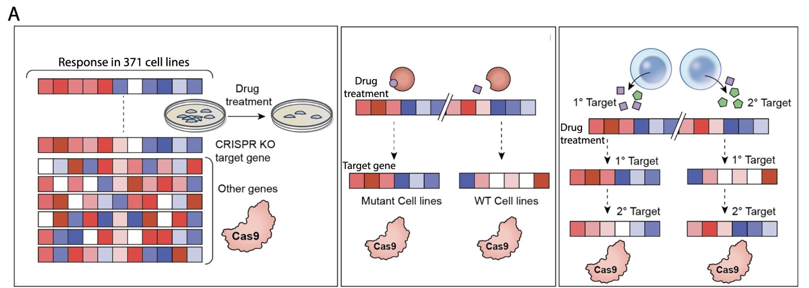 Sanju Sinha: DeepTarget, a New Tool to Map Drug Targets in Cancer