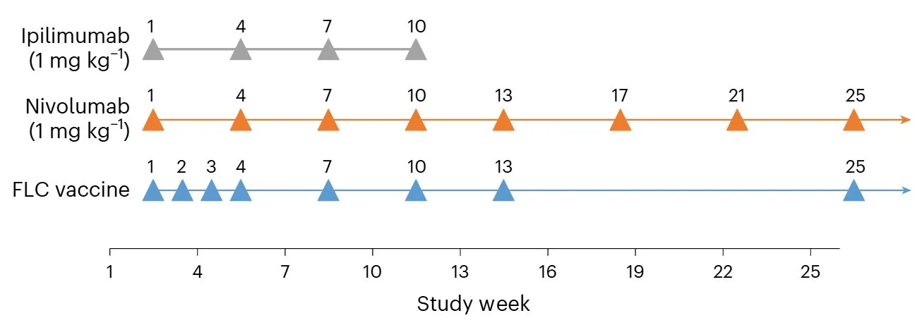 Mark Yarchoan: A Therapeutic Peptide Vaccine for Fibrolamellar Hepatocellular Carcinoma