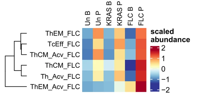 Mark Yarchoan: A Therapeutic Peptide Vaccine for Fibrolamellar Hepatocellular Carcinoma