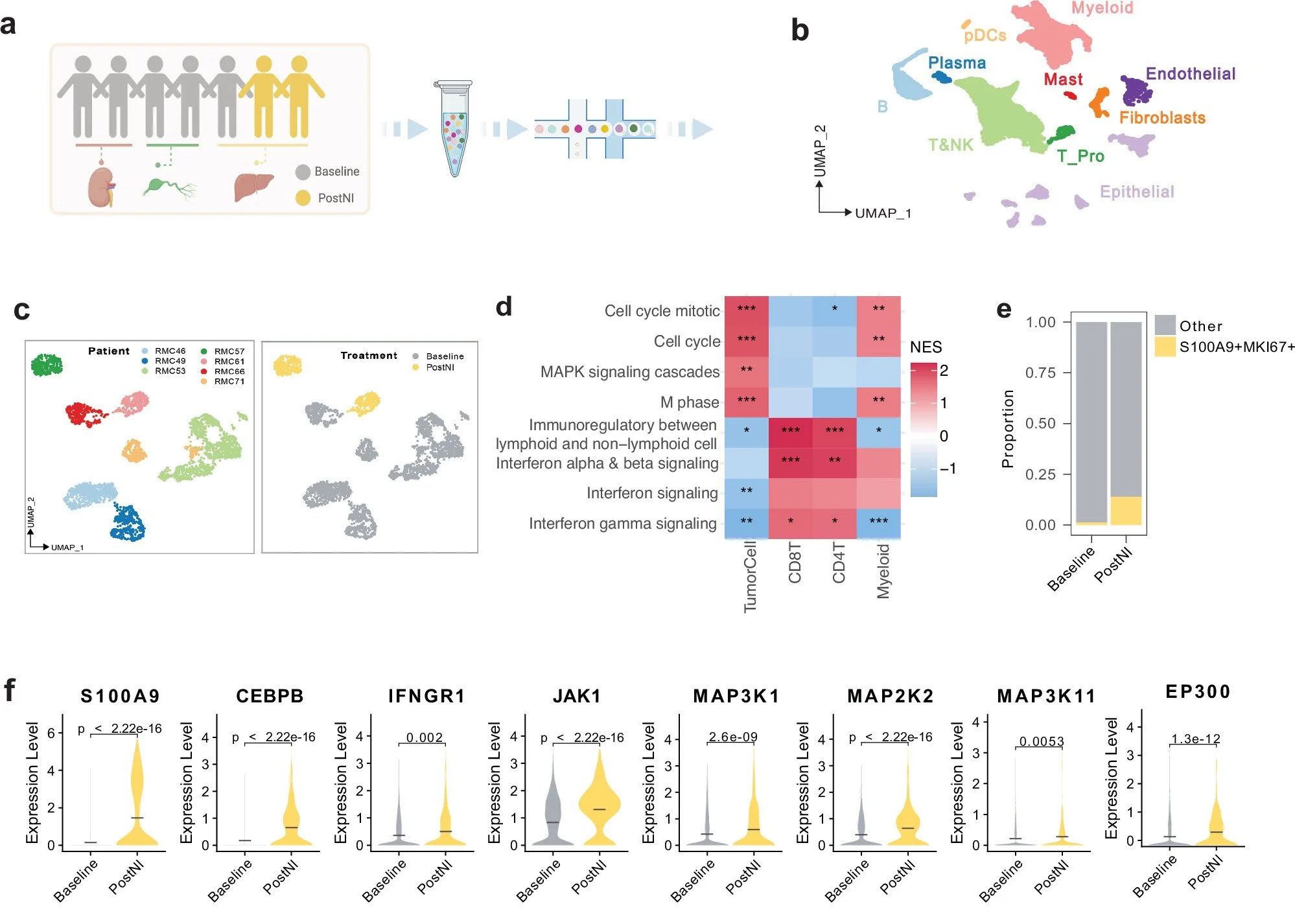 Pavlos Msaouel: First-Ever Dedicated Clinical Trial for Renal Medullary Carcinoma