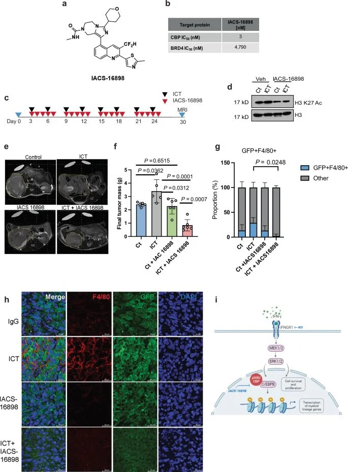 Pavlos Msaouel: First-Ever Dedicated Clinical Trial for Renal Medullary Carcinoma