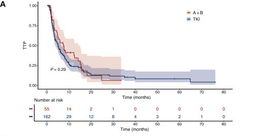 Genomic Profiling in Hepatocellular Carcinoma: New Insights from Real-World Data 3 Hepatocellular Carcinoma