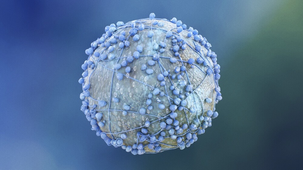 Dana-Farber Cancer Institute