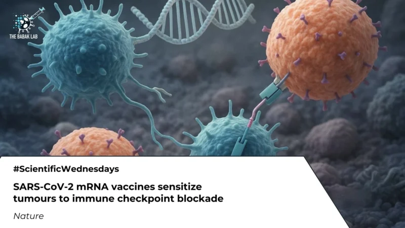 Can COVID Vaccination Boost Cancer Immunotherapy? – The Babak Lab