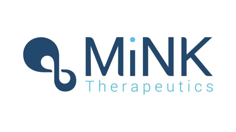 MiNK-215 Clears Harmful Fibroblasts to Help Immune Cells Reach Tumors – MiNK Therapeutics
