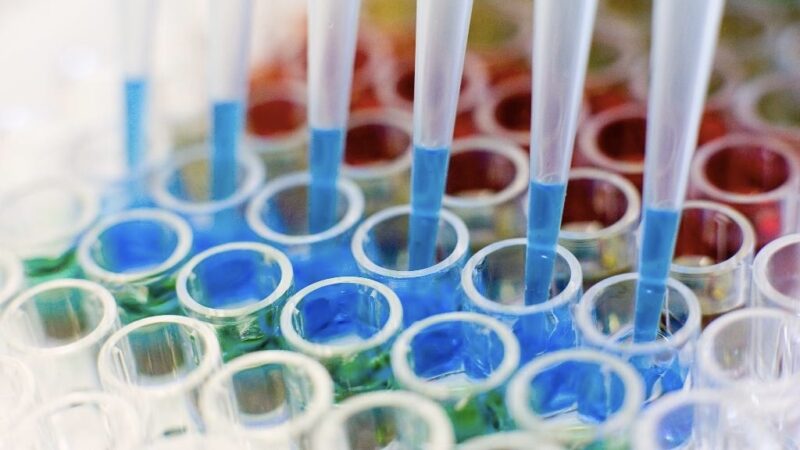 Lung Cancer Biomarker Testing ECHO Cohort 5 for Thoracic Oncology Clinicians – ACS NLCRT