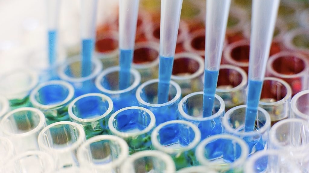 Biomarker Testing ECHO