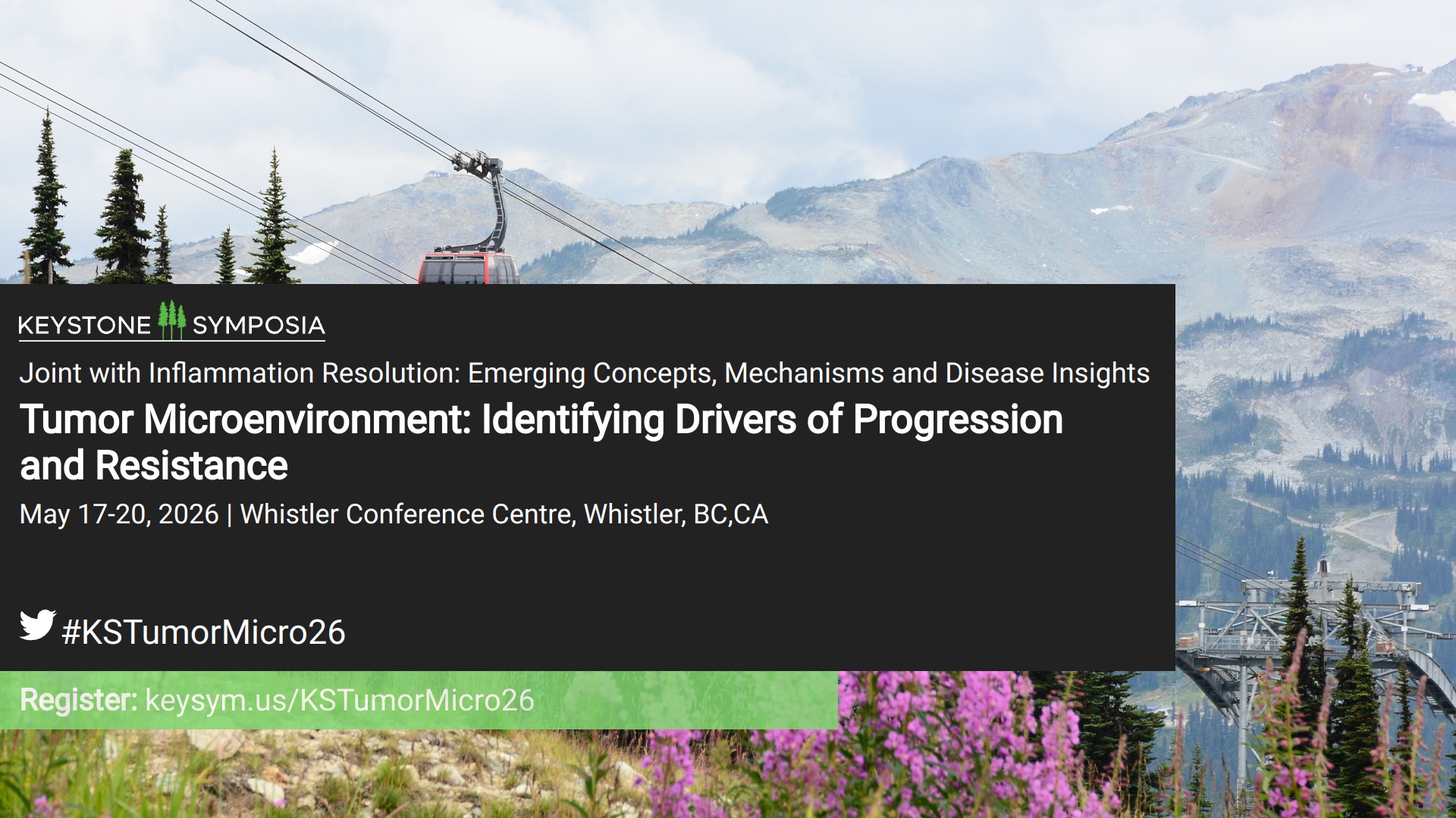 Tumor Microenvironment