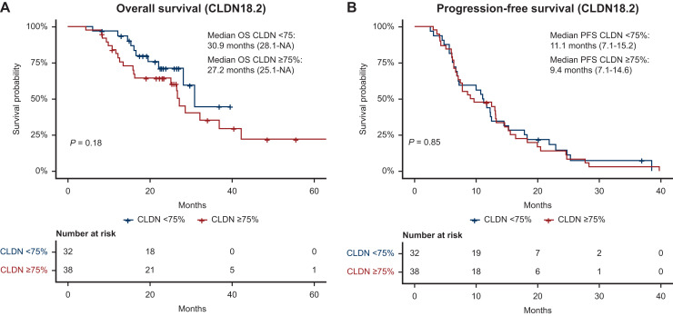 OS and PFS of GEJ trial