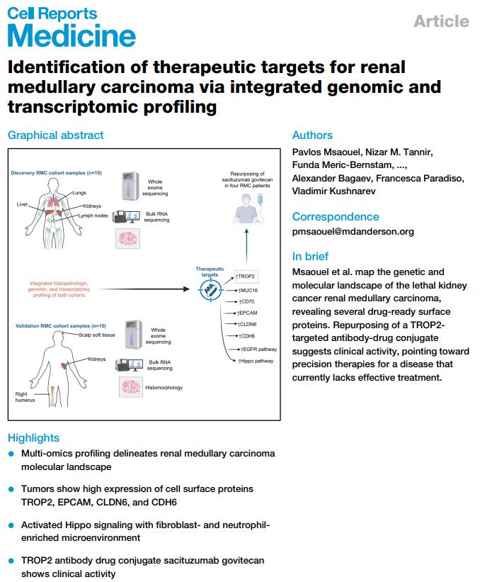 Pavlos Msaouel: The Largest Renal Medullary Carcinoma Molecular Profiling via BostonGene