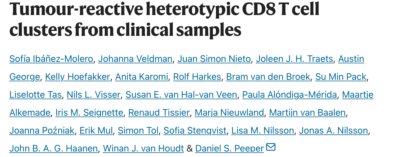 Daniel Peeper: Tumour-Reactive Heterotypic CD8 T Cell Clusters from Clinical Samples