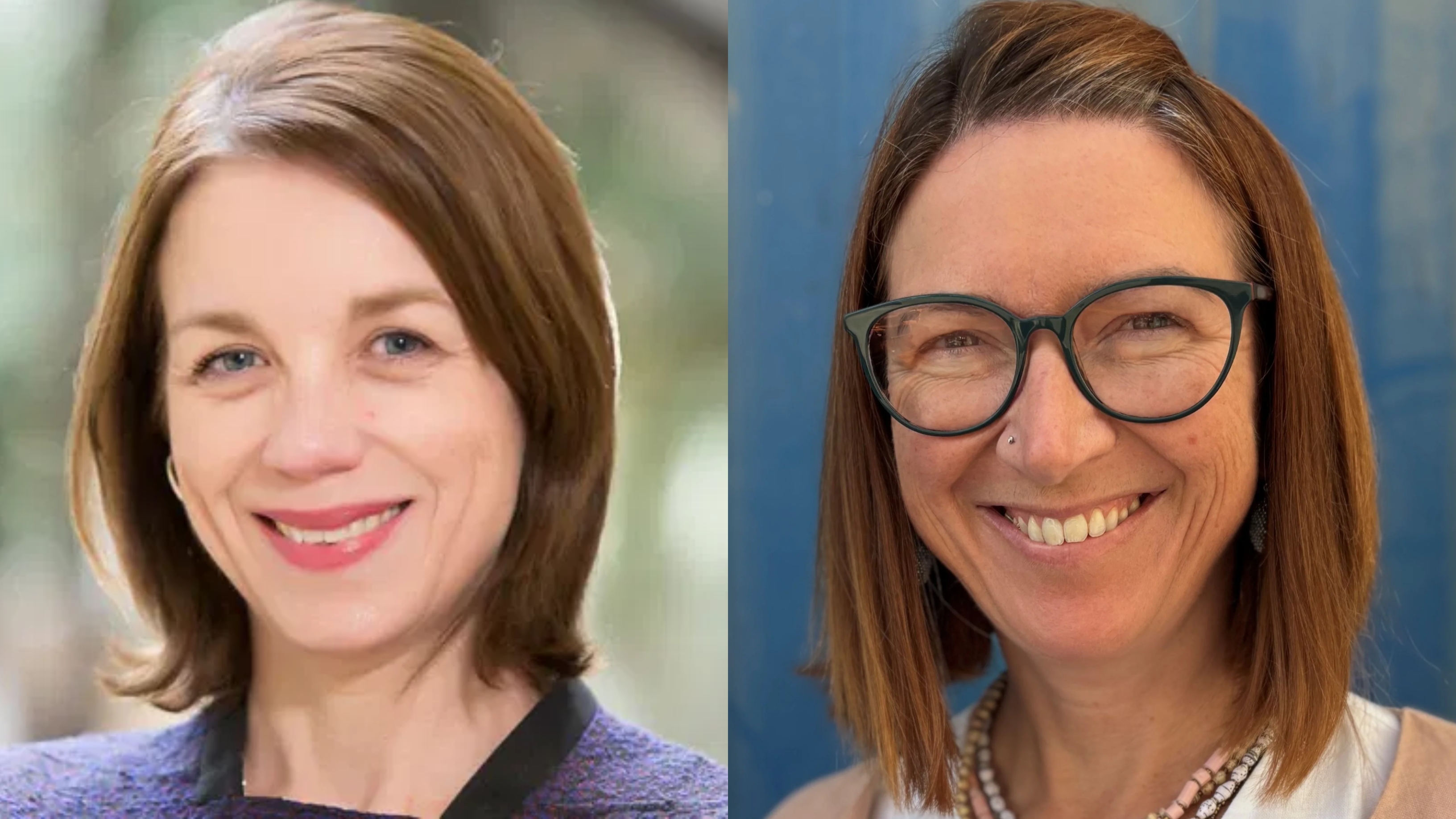 Sandra Turner: Katie Wakeham Provides an Excellent Overview of the Inaugural WRAD at AORTIC2025