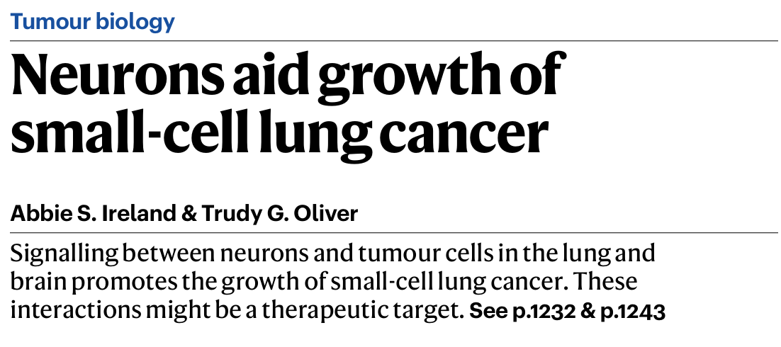 How Nerve Cells May Help Small‑Cell Lung Cancer Grow - The Babak Lab 2 How Nerve Cells May Help Small‑Cell Lung Cancer Grow - The Babak Lab