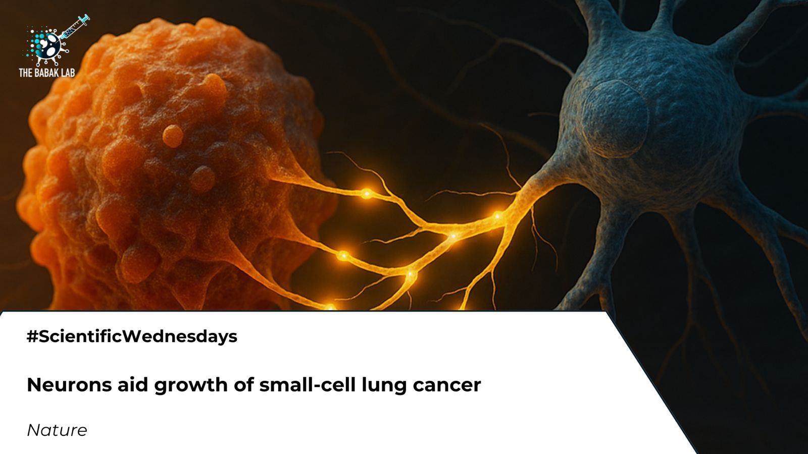 Small‑Cell Lung Cancer