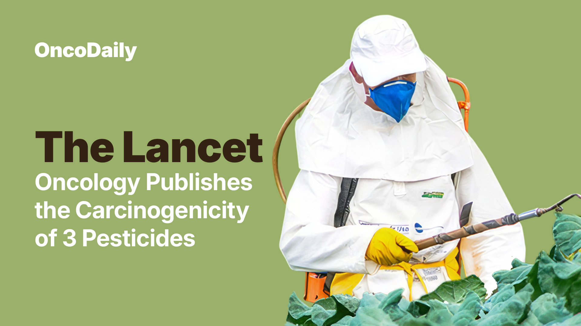 The Results of the IARC Monographs Evaluation of 3 Pesticides Are Out