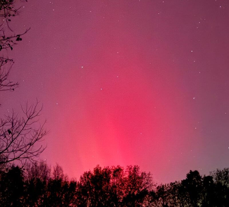 Wei Zhang: Lung Cancer Single-Cell Genomics Team Prepares Abstracts for AACR 2026 2 Wei Zhang