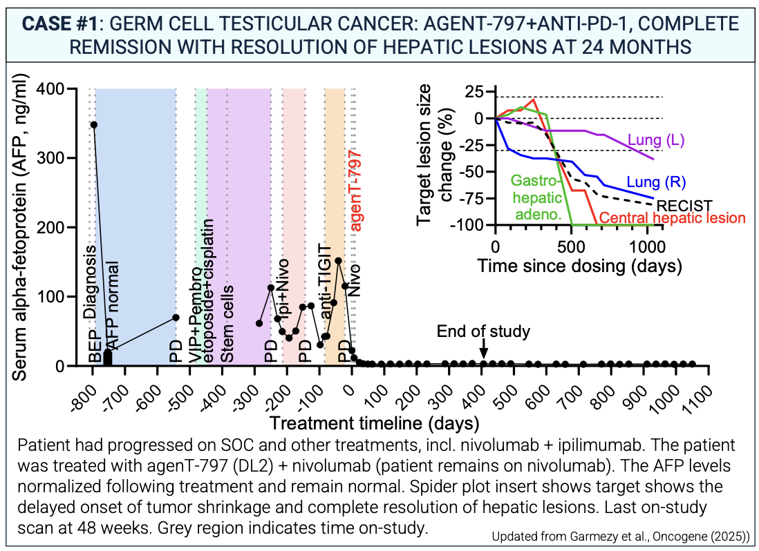 germ cell testicular cancer agent797 inkt cell therapy