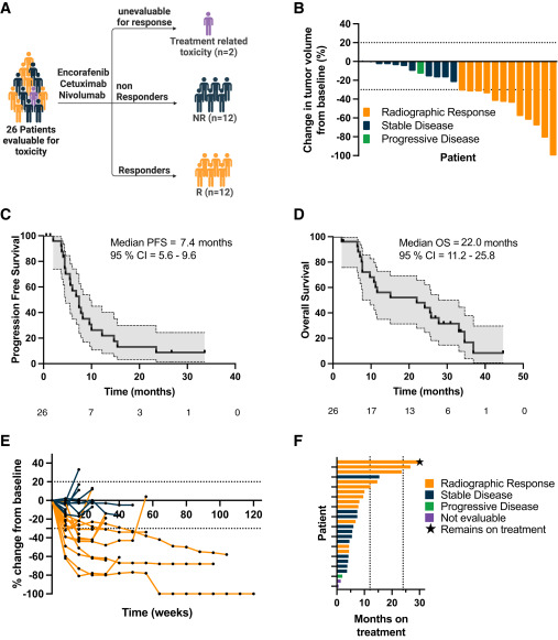 Encorafenib Cetuximab Nivolumab