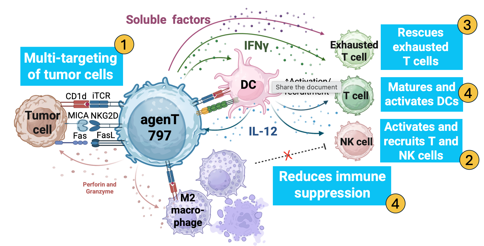 inkt cell therapy mechanism agent797