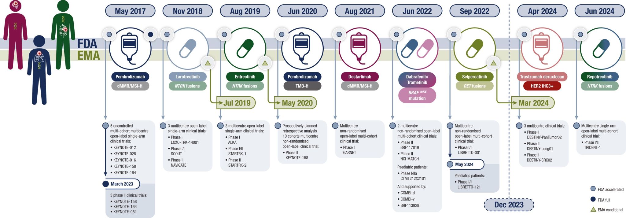 Nare Hovhannisyan: Key Takeaways from Diogo Martins Branco's Lecture at the ESMO Advanced Courses 2 Nare Hovhannisyan