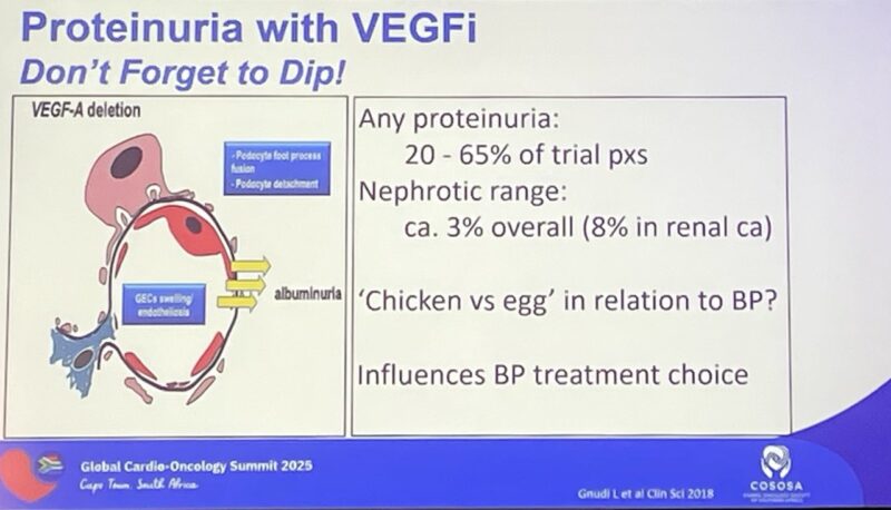 Global Cardio-Oncology Summit 2025: Morning with the Masters