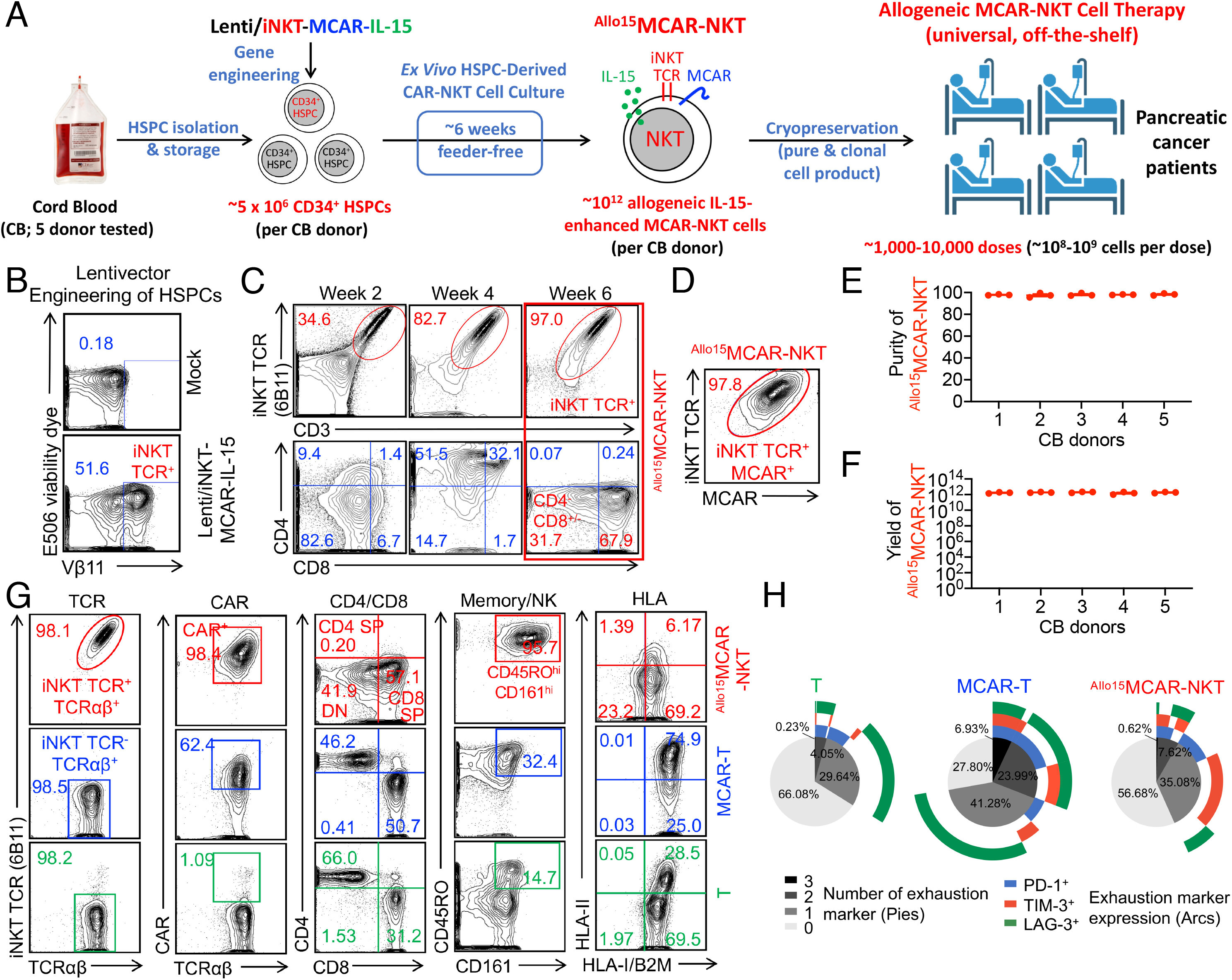 Allogeneic Stem Cell–Engineered Mesothelin-Redirected CAR-NKT Cells for Orthotopic and Metastatic Pancreatic Cancer 3 Allogeneic Stem Cell