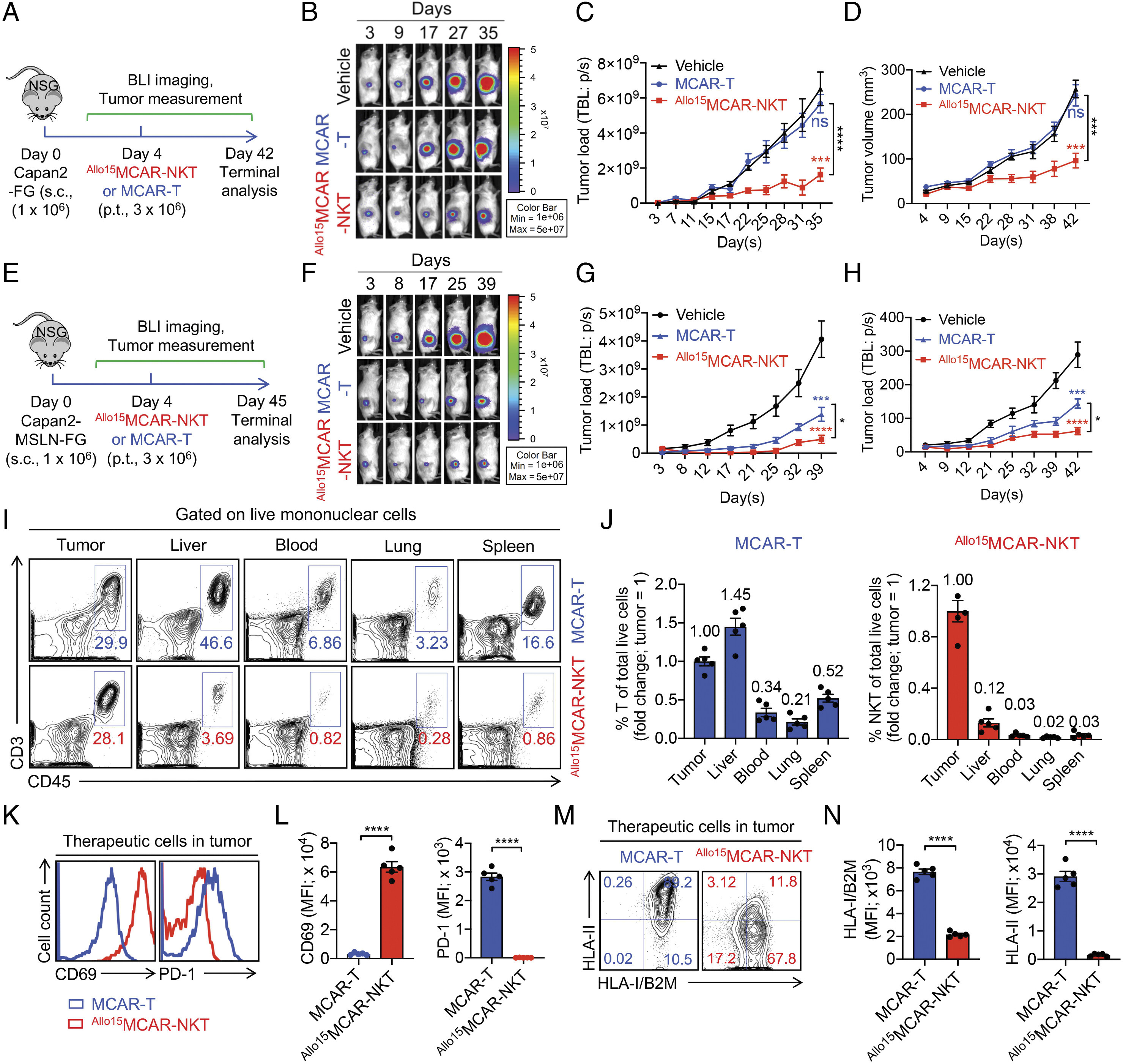 Allogeneic Stem Cell–Engineered Mesothelin-Redirected CAR-NKT Cells for Orthotopic and Metastatic Pancreatic Cancer 4 Allogeneic Stem Cell