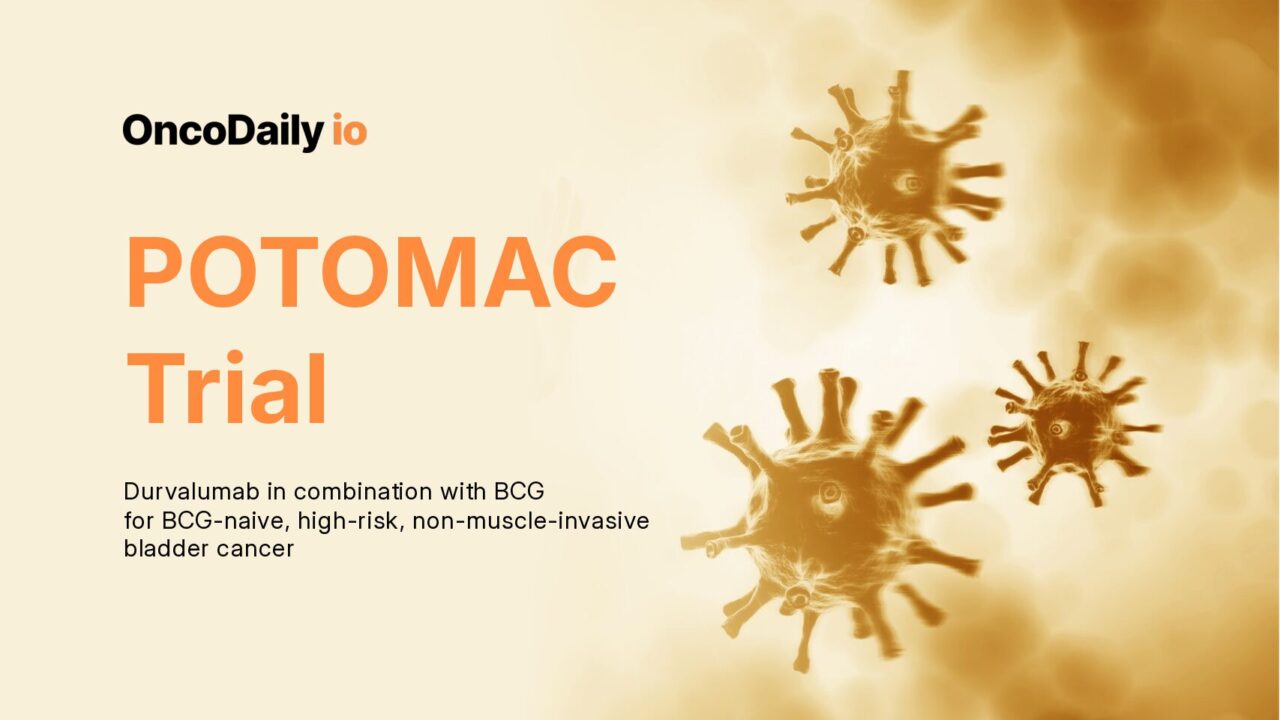 POTOMAC Trial: Durvalumab in combination with BCG for BCG-naive, high-risk, non-muscle-invasive bladder cancer