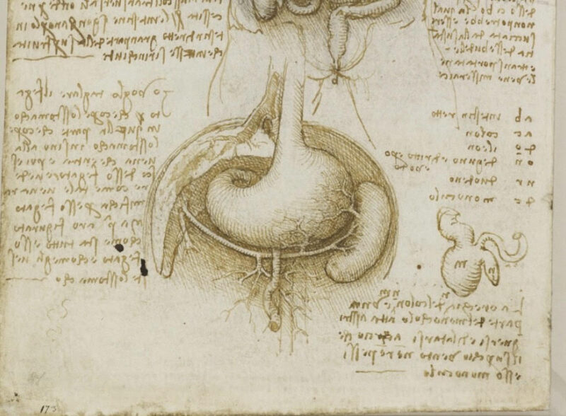 Gastric cancer awareness month