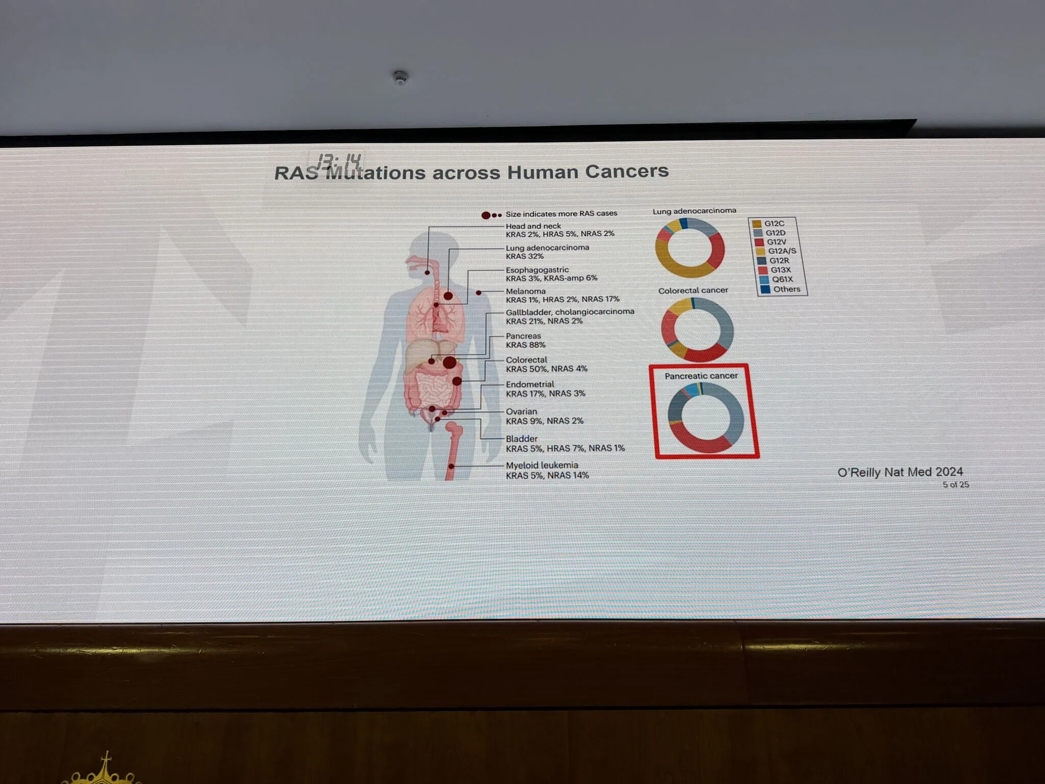 Bernard Fox: Highlights From Immunotherapy Bridge 2025 7 Bernard Fox: Highlights From Immunotherapy Bridge 2025