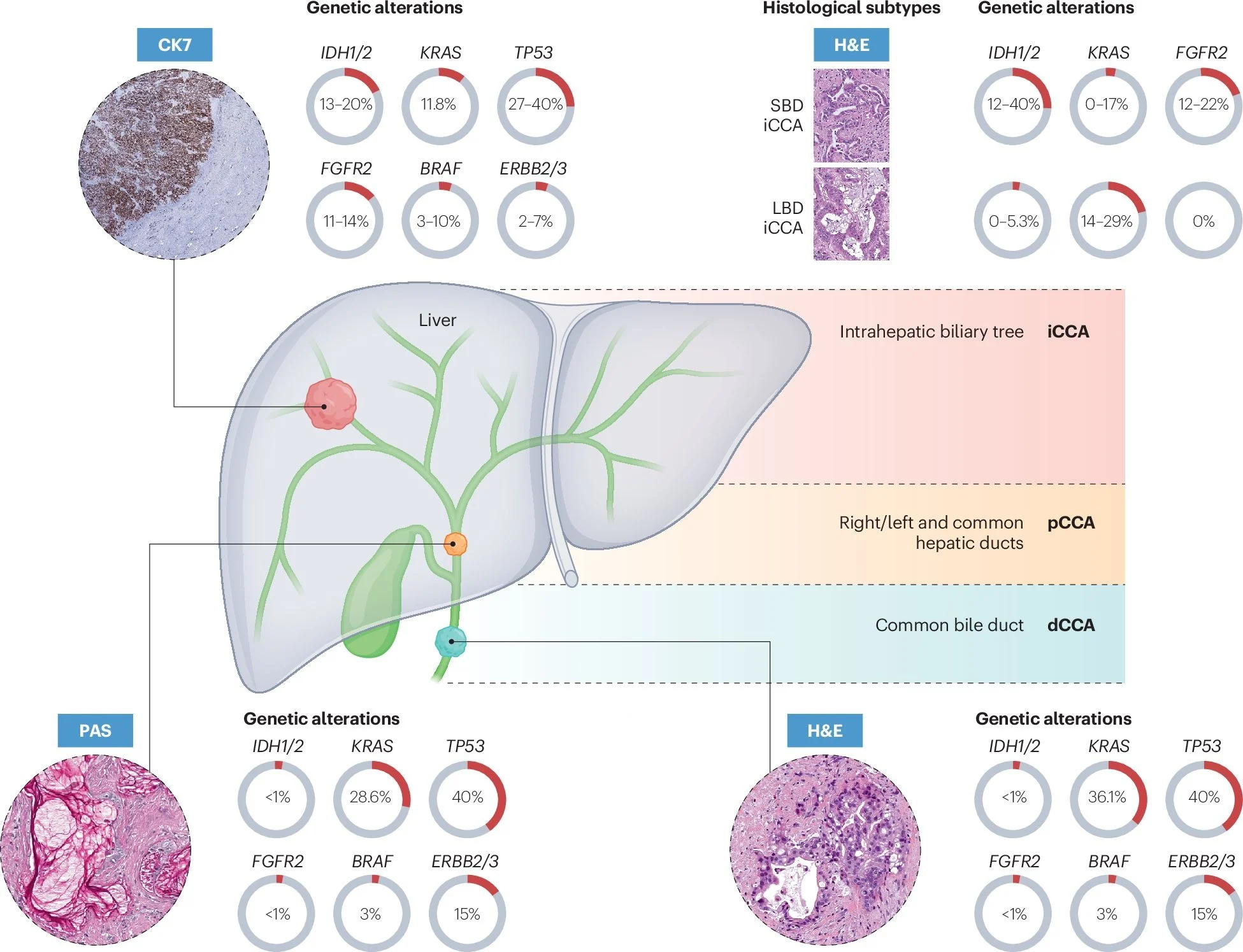 Juan Valle: Cholangiocarcinoma 2026 – Status Quo, Unmet Needs and Priorities 2 Juan Valle: Cholangiocarcinoma 2026 – Status Quo, Unmet Needs and Priorities