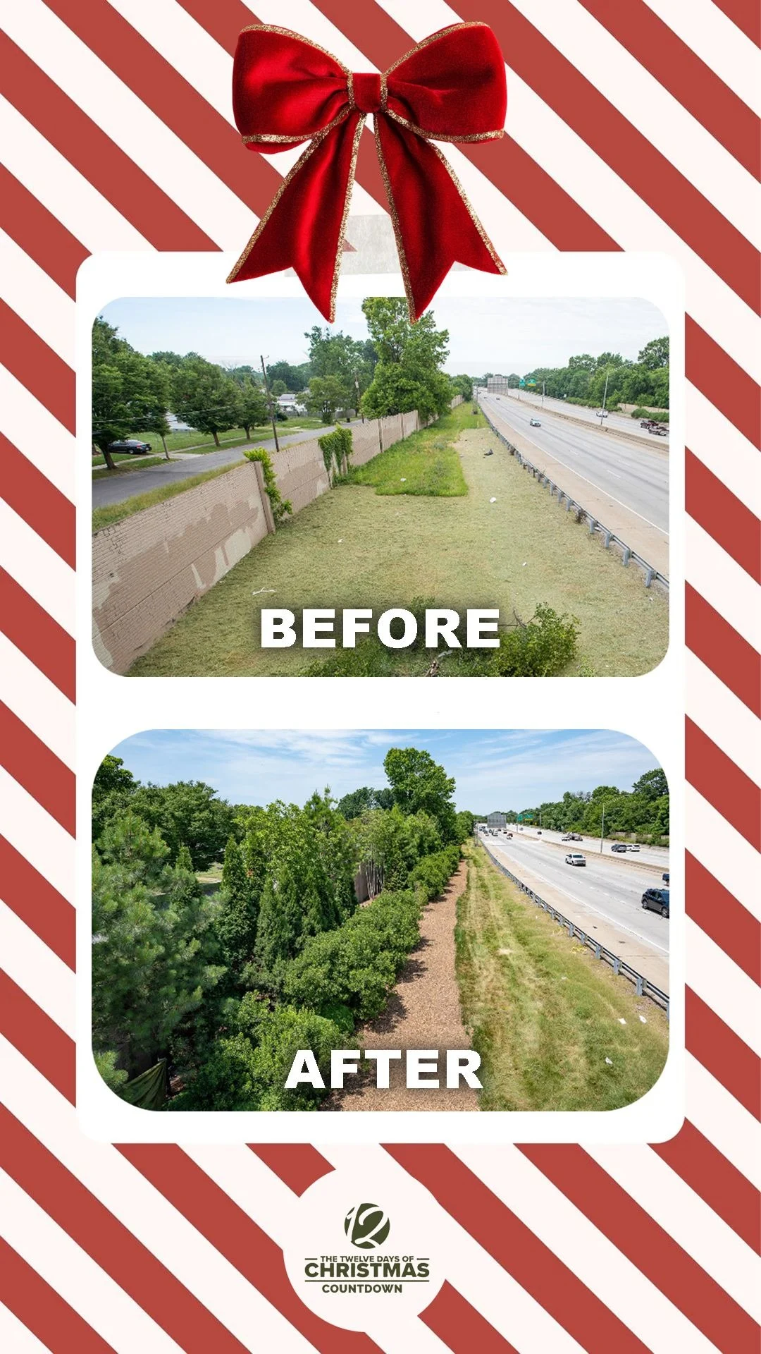 Bill Frist: How 8,000 Trees Are Healing Louisville, One Neighborhood at a Time 2 Bill Frist: How 8,000 Trees Are Healing Louisville, One Neighborhood at a Time