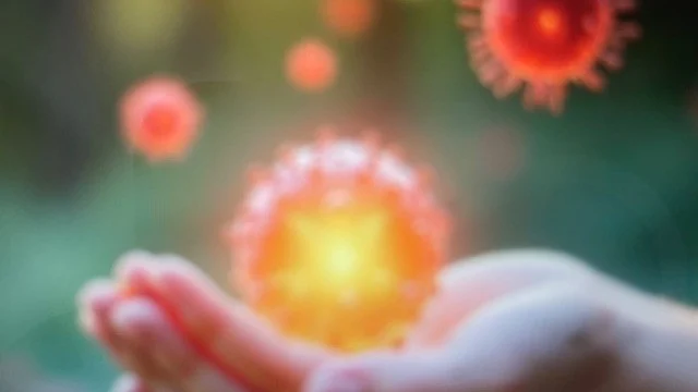 Tanja Obradovic: First Antibody-Targeted Therapy Conjugate Enters Clinical Development