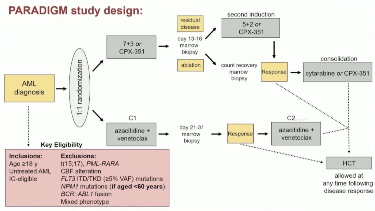 Talha Badar: Leukemia and Myeloid Diseases - Highlights of 2025